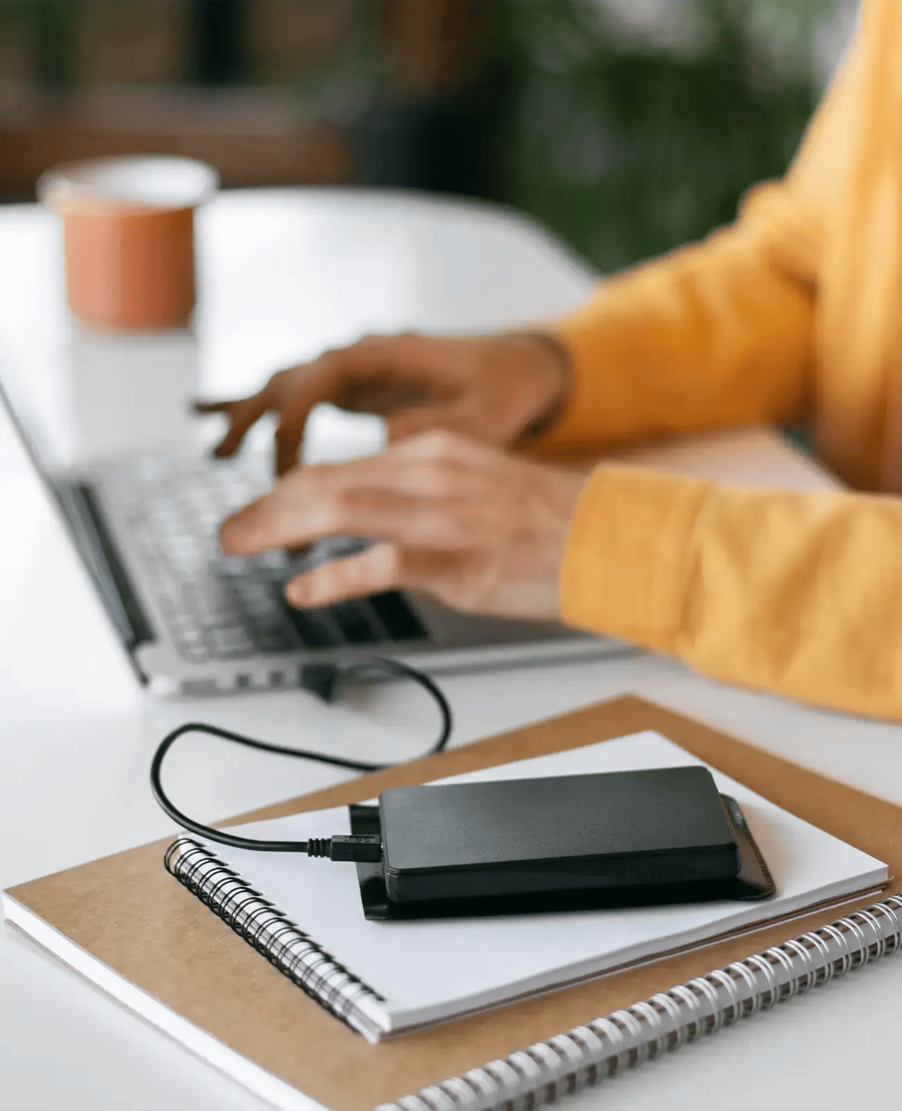 Ein sicheres USB-Gerät frei von Malware angeschlossen an einen Computer